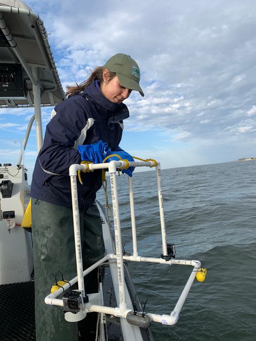Underwater cameras enabled oyster reef restoration research