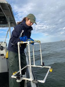 Underwater cameras enabled oyster reef restoration research
