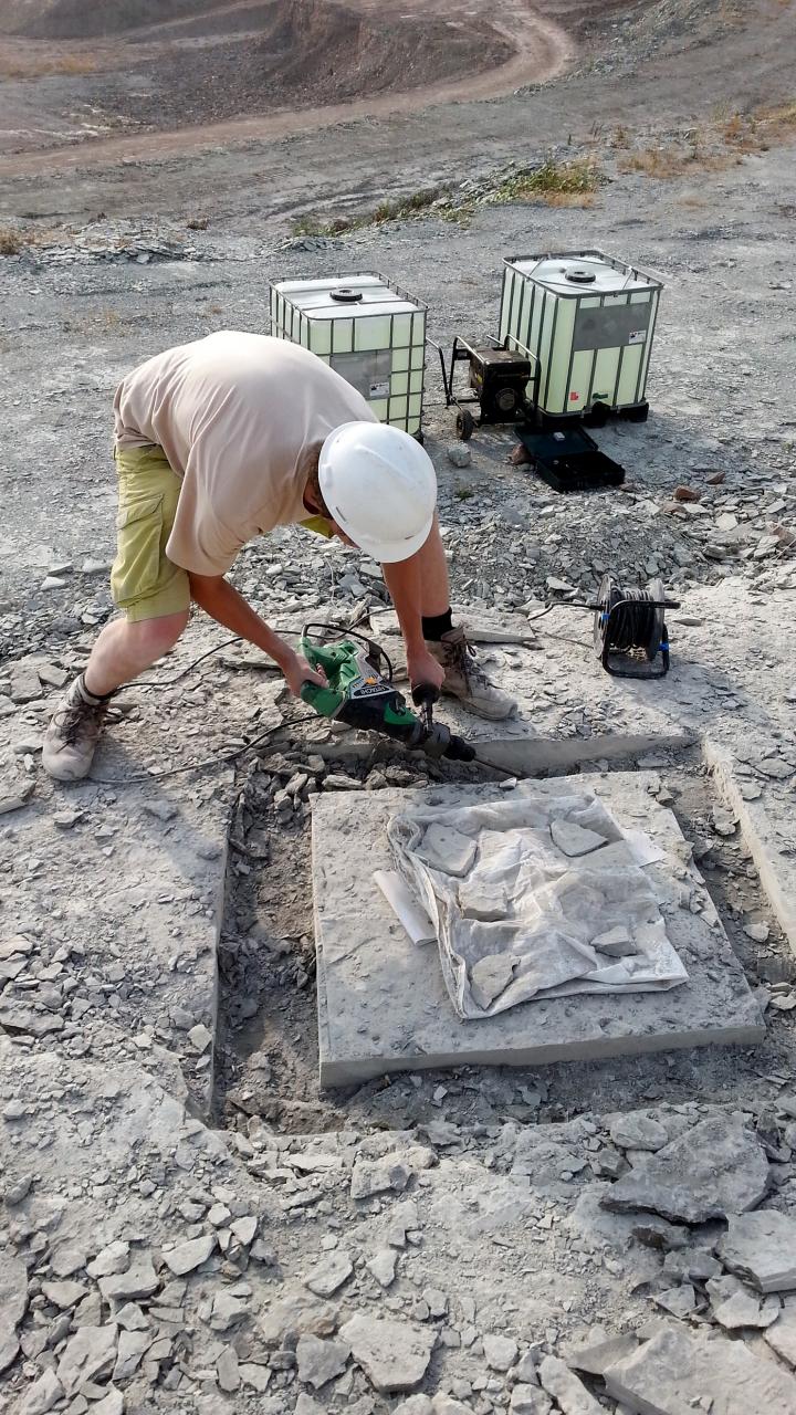 Jelle Heijne Recovering a Fish Fossil