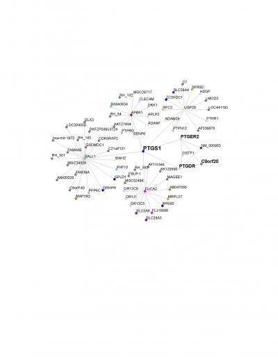Map of a Gene's Subnetwork