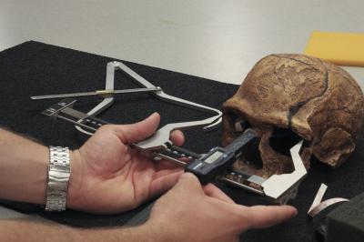 Cieri Skull Measure