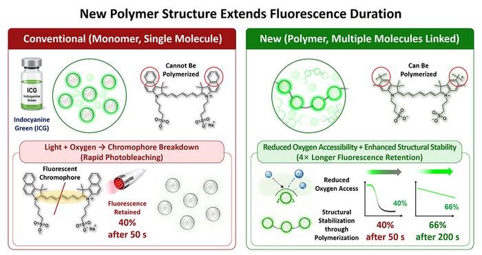 Polymerized Near-Infrared Fluorescent Dye with Enhanced Photostability