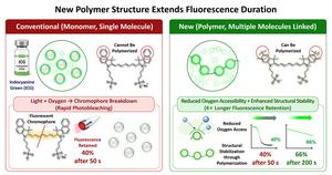 Polymerized Near-Infrared Fluorescent Dye with Enhanced Photostability