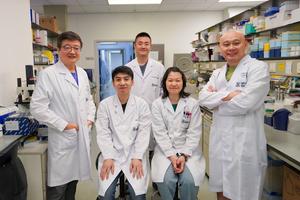 research team