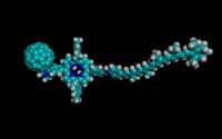 Chemical Compass Molecule
