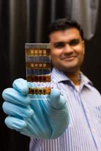 Dr Nripan Mathews, Nanyang Technological University 