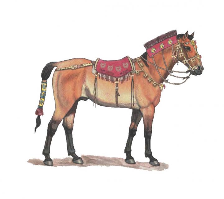 How Domestication Altered the Genome of Ancient Horses (1 of 24)