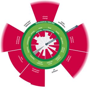 Global social shortfall and ecological overshoot
