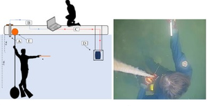 figure 2a
