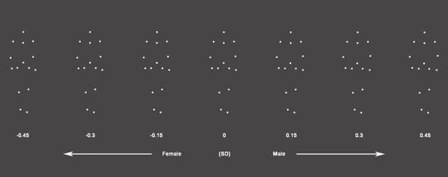 Exemplars of the PLWs Used in the Gender Identification Task