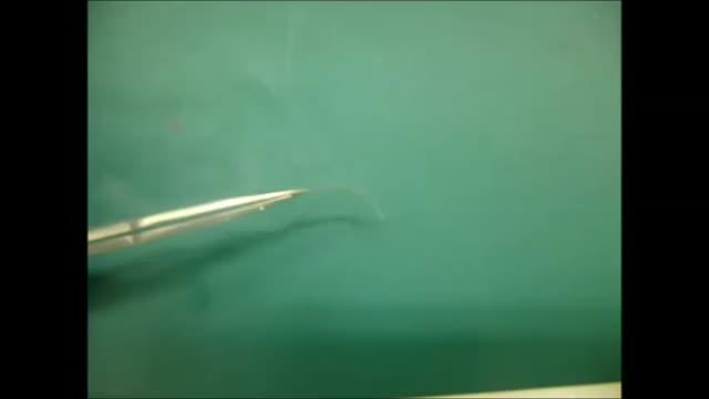 Shape Memory Alloy Demonstration