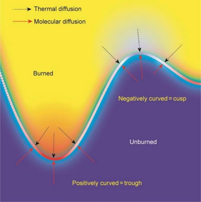 A schematic showing a flame front color-marked by its local curvature and the molecular and thermal diffusion with Le < 1.