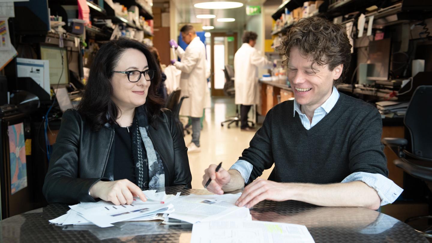 Katerina Akassoglou and Mario Merlini, Gladstone Institutes