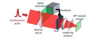 Experimental Set-up of the Microscope