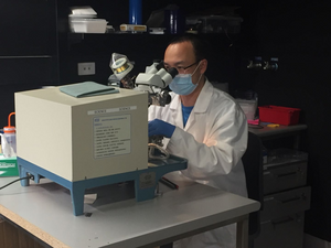 Dr Guolin Zheng