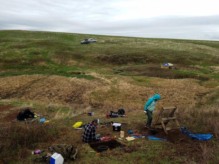Excavation area