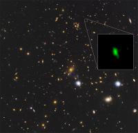 Observation Image ALMA+HST