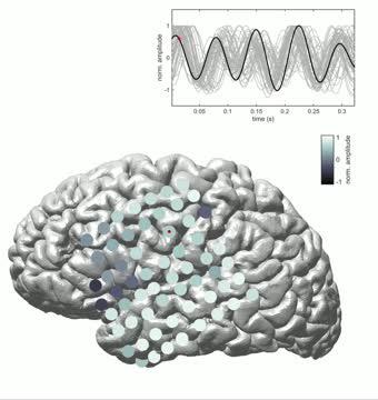 'Princess Leia' Brainwaves Help Sleeping Brain Store Memories