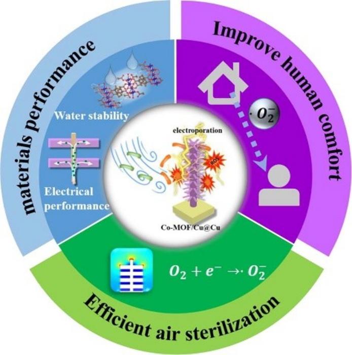 Graphical abstract