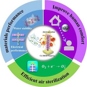 Graphical abstract