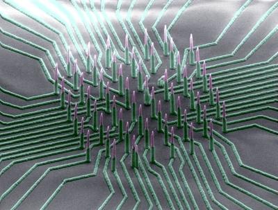 'Neuron-Reading' Nanowire Array