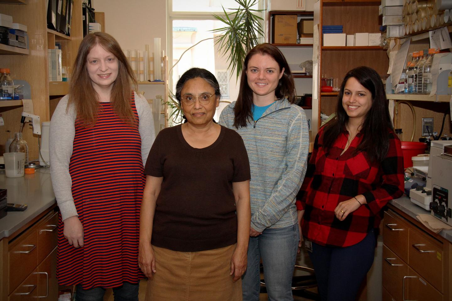 Research Team