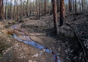 Post-fire rainfall and runoff