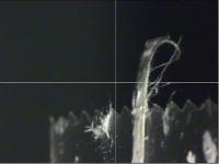 Single Sepiolite Fiber