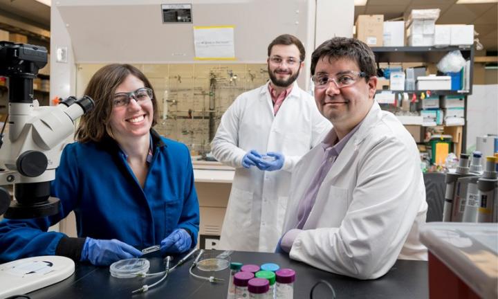 NSF Career Award
