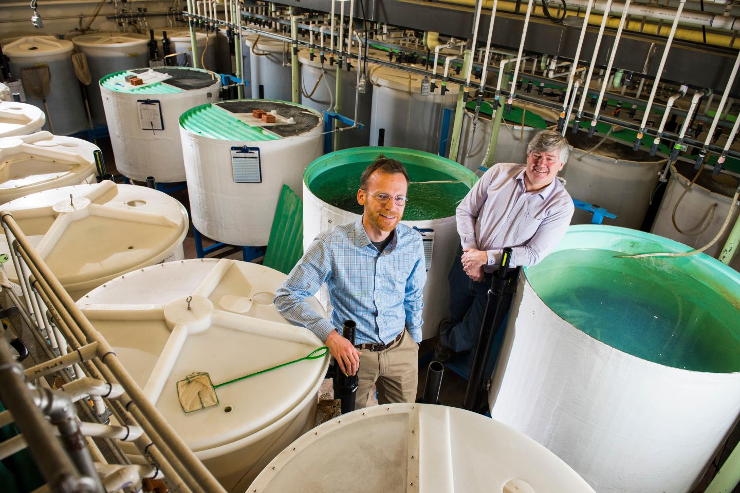 Daniel Alessi and Greg Goss, University of Alberta