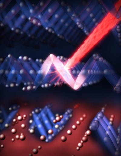 Magnetic Switching in Magnetite