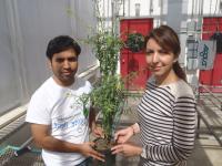 Pavan Kumar and Mahdieh Mirzaei