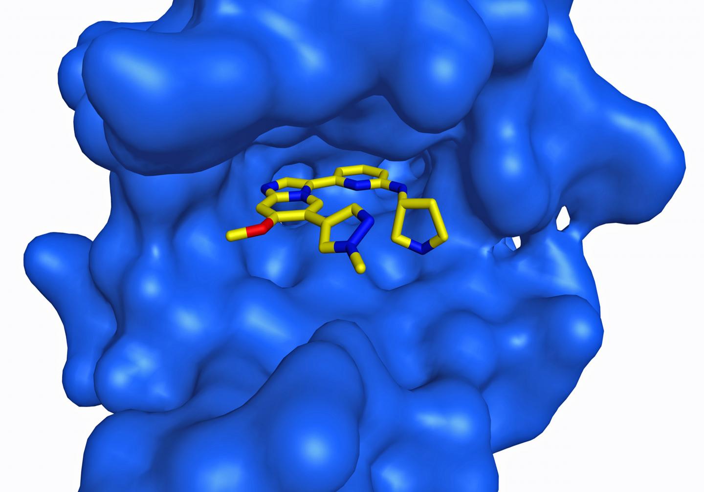 Small Molecule Inhibitor Packs a One-Two Punch in Mouse Models of Leukemia (1 of 1)