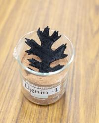 50 Percent Lignin by Weight