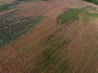 Aerial Field View