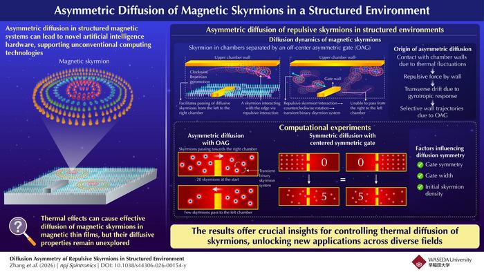 Asymmetric diffusion of magnetic skyrmions in a structured chamber