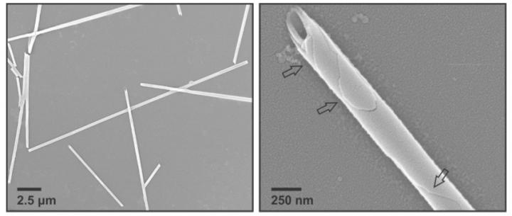 The nanomaterial forms tubes