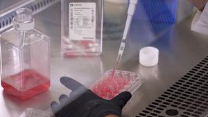 Vaccine to Treat ‘Neglected Disease’ Shows Promising Results