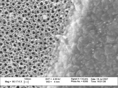 Nanoskin Implants