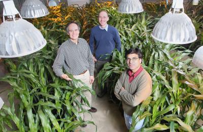 Guri Johal, Steve Schofield, and Michael Zanis