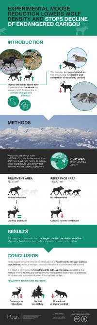Graphical Abstract