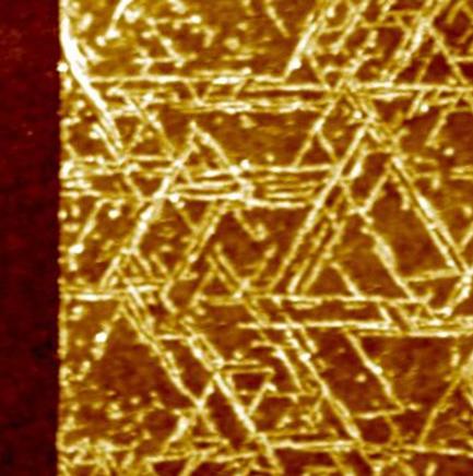 Nanowires on Molybdenum Disulfide