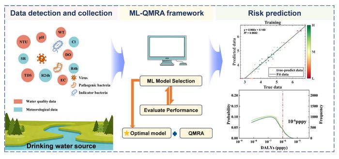 A machine learning-quantitative microbial risk assessment (ML-QMRA) framework for predicting potential health risks from pathogens in drinking water sources