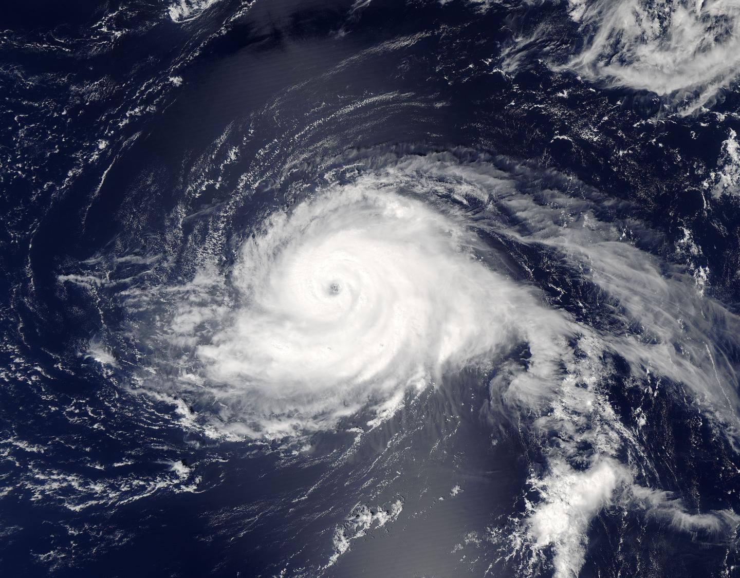 Aqua Image of Gaston