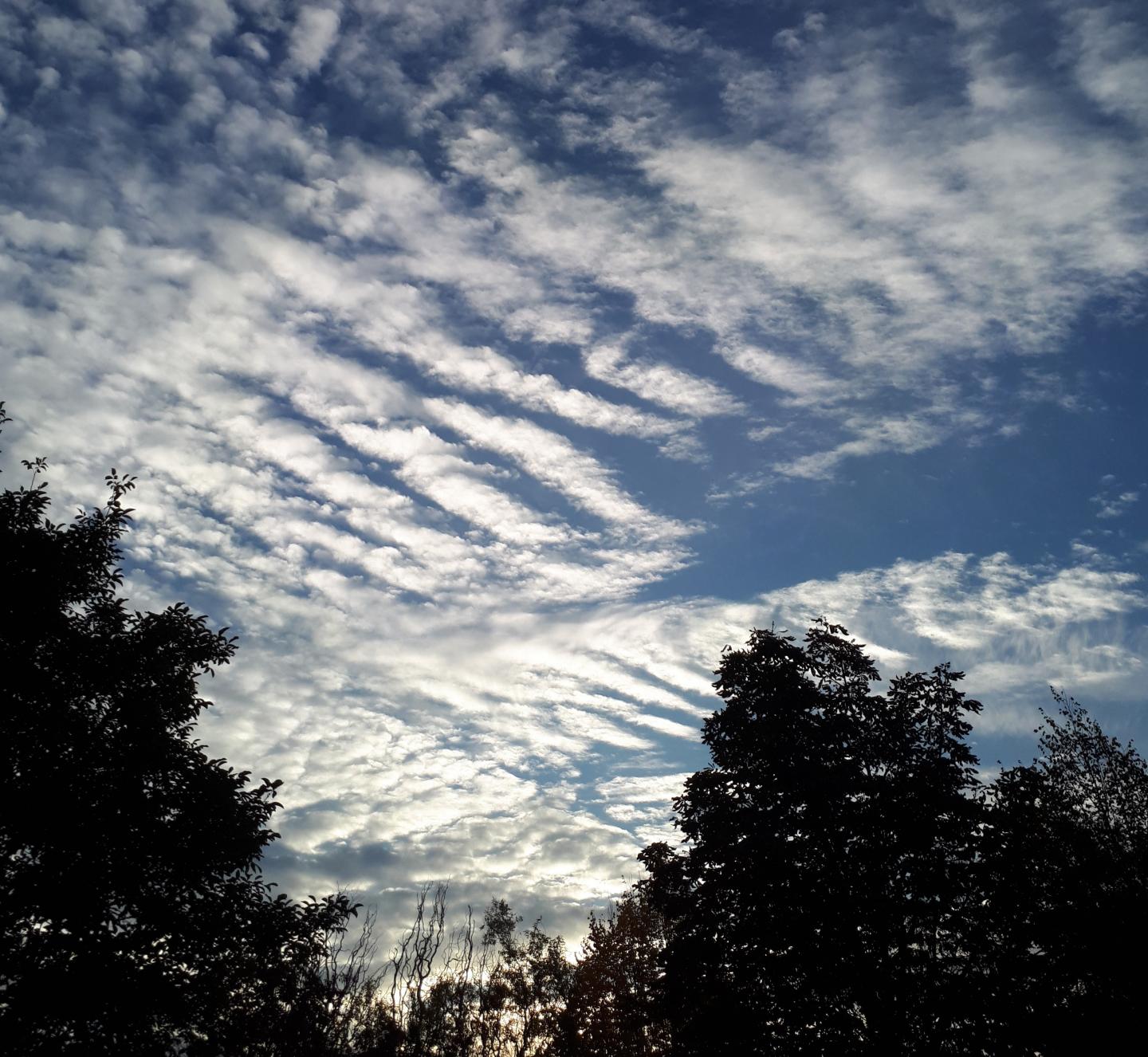 Structural Formation of Clouds