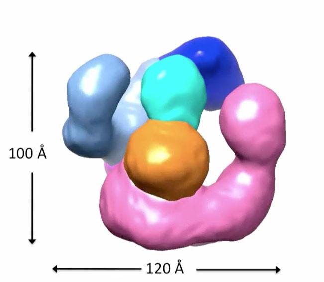 Tubulin Assembly Machine