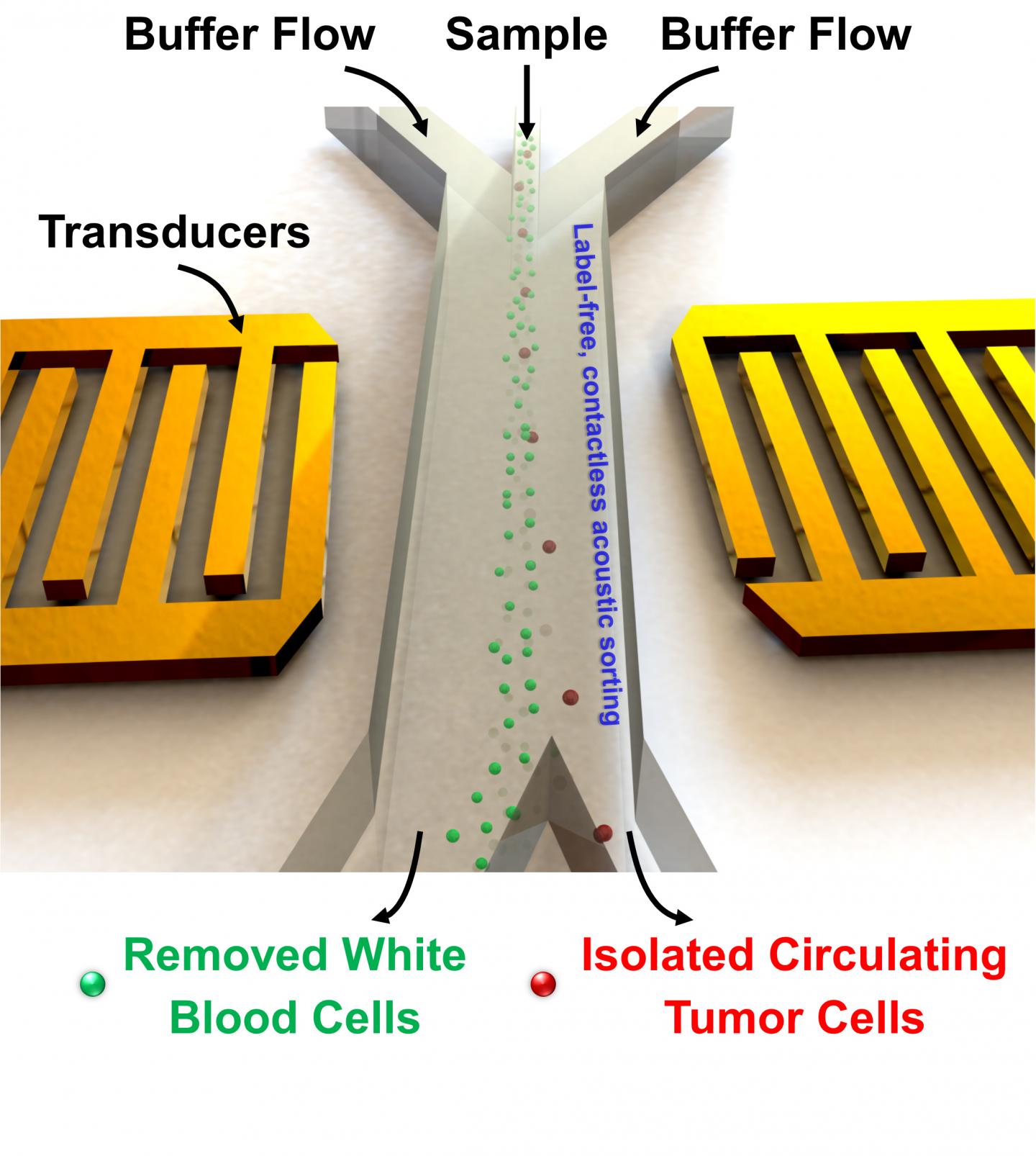Schematic of Chip