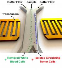 Schematic of Chip
