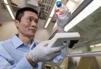Growing Cancer Cells