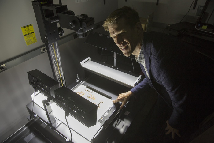 062617_Herbarium_034_Credit-Jon Chase/Harvard University